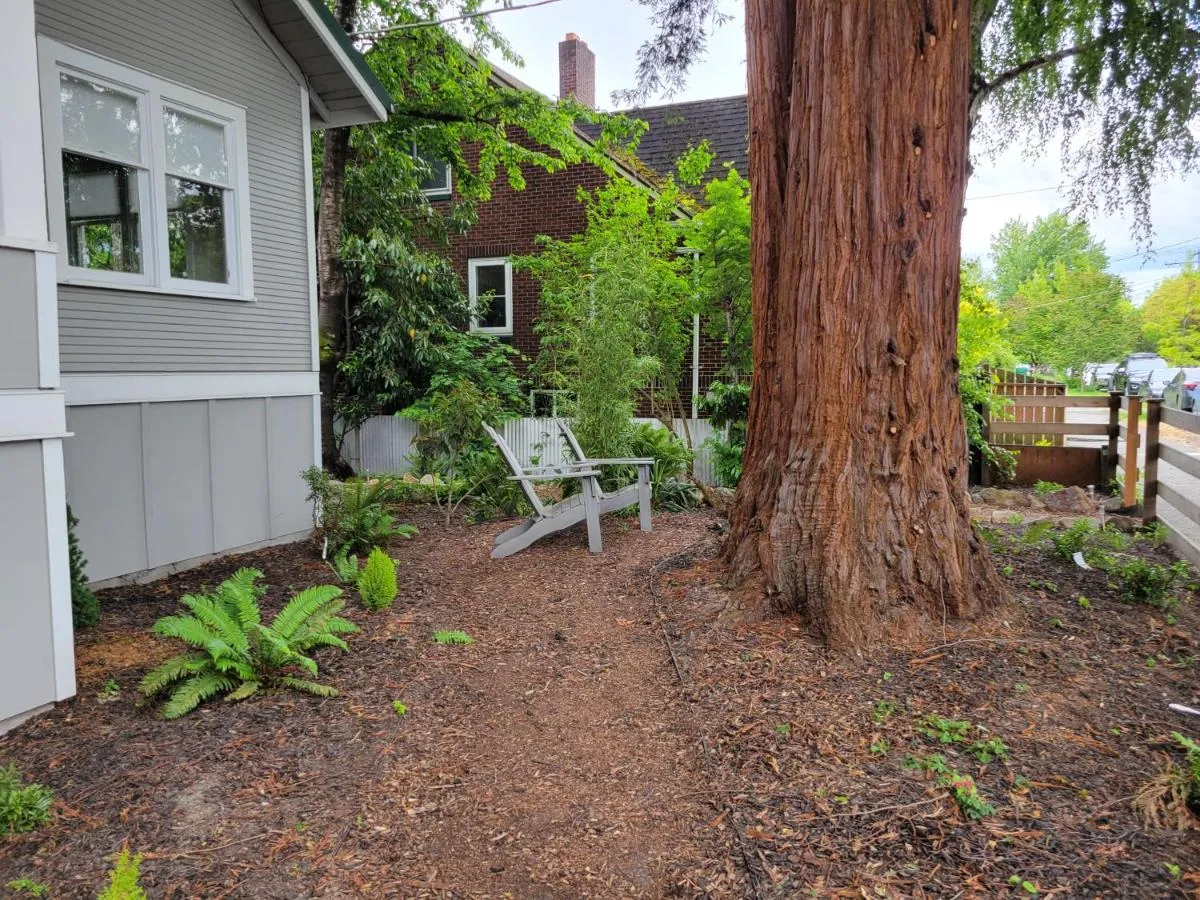 Image 5 of Modern Craftsman Garden Patio in Georgetown